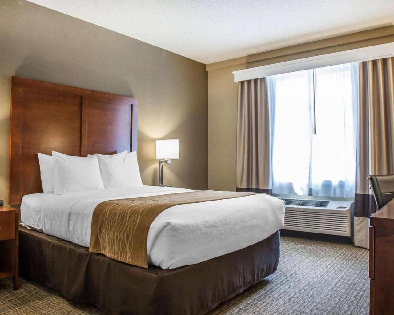 Comfort Inn & Suites Sturbridge-Brimfield Exteriör bild